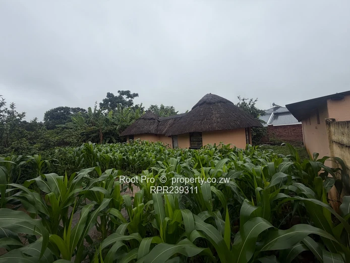 Borrowdale Quinnington House For Sale