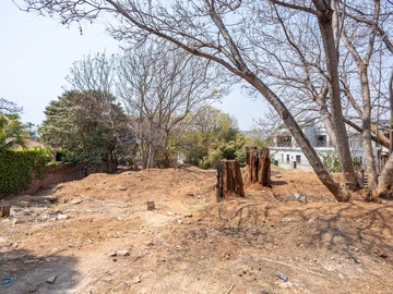 Stands & Residential Land