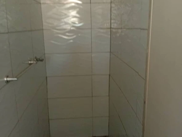 Flat & Apartment
