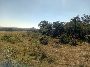 Farm & Agricultural Land