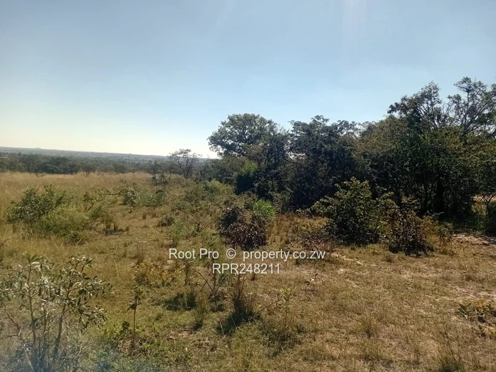 17 Hectares School Land for Sale – Wedza | Investor’s Delight (Sole Mandate)