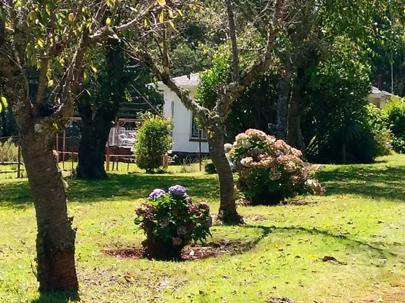 Hotel & Lodge