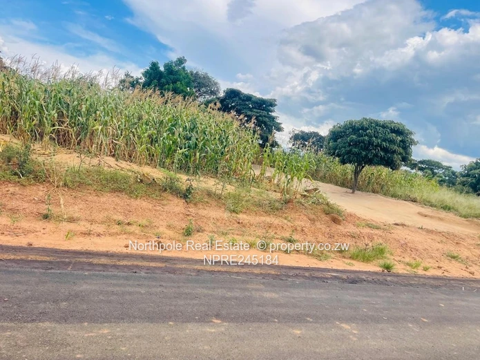 Rock Ridge Estate Stand For Sale