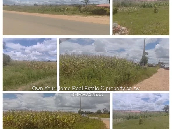 Chipukutu Park stand for sale