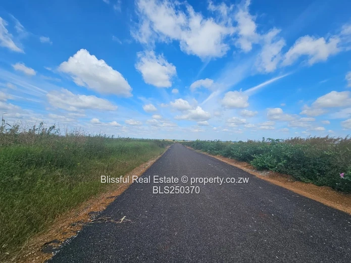 Nyeredzi Ridge Stand for sale