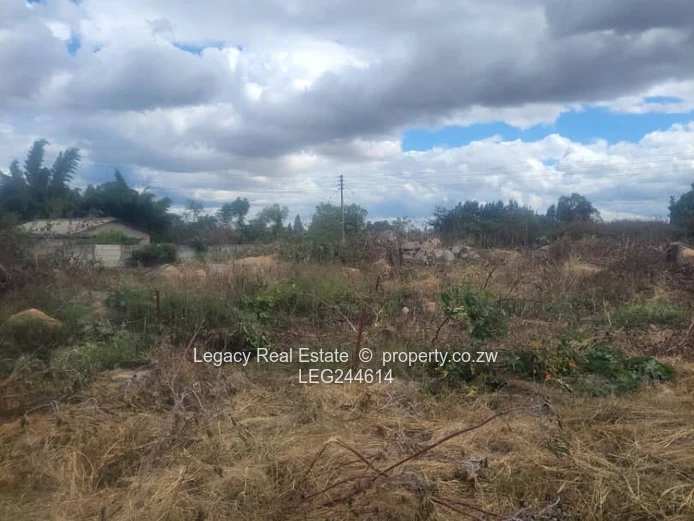 Waterfalls Prospect Cluster Stands For Sale