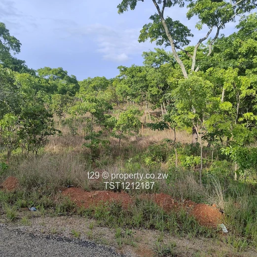 Borrowdale Carrick creagh estate stand for sale (Sole Mandate)