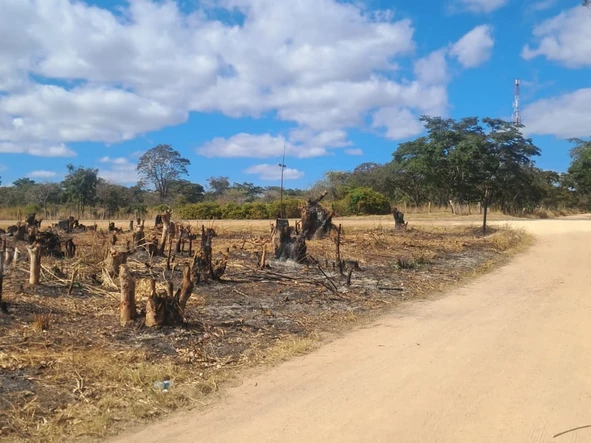 Commercial & Industrial Land