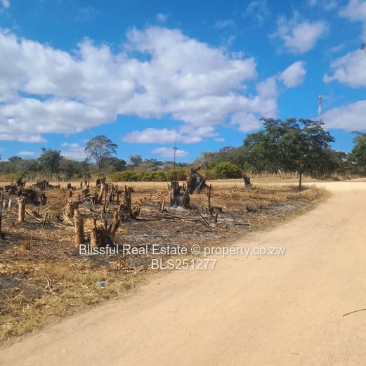 PRIME 2000m² SERVICE STATION STAND - HARARE-MUTARE Highway 