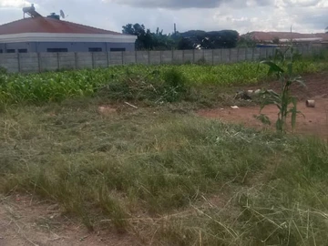 Stands & Residential Land