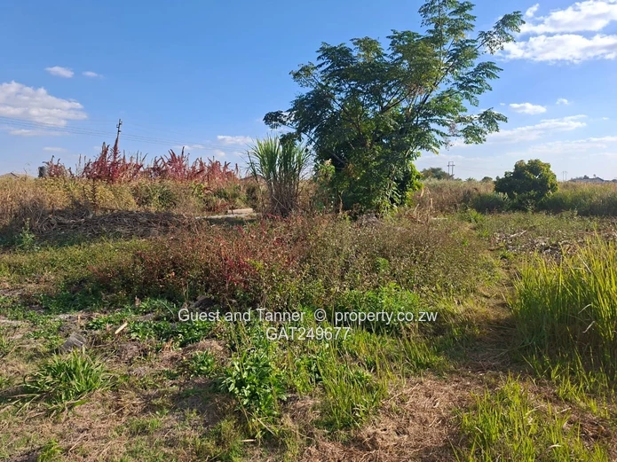 Prime 448m² Corner Stand for Sale in New Chadcombe