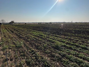 Farm & Agricultural Land