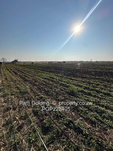 Nyamandlovu Farm for sale