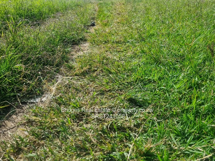 Agro Residential Parcel (Sole Mandate)