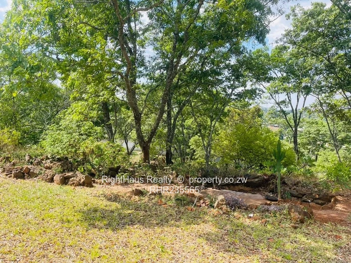 Stunning 5 Bedroom Family Home Available In Borrowdale