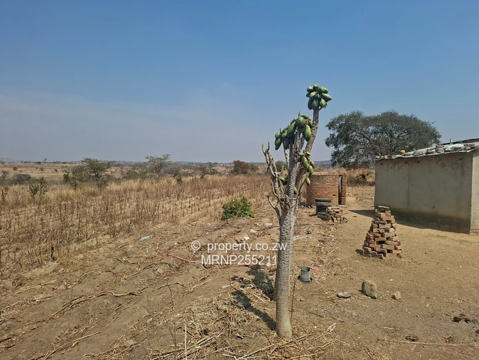 Headlands Plot for sale  (Sole Mandate)