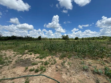 Farm & Agricultural Land