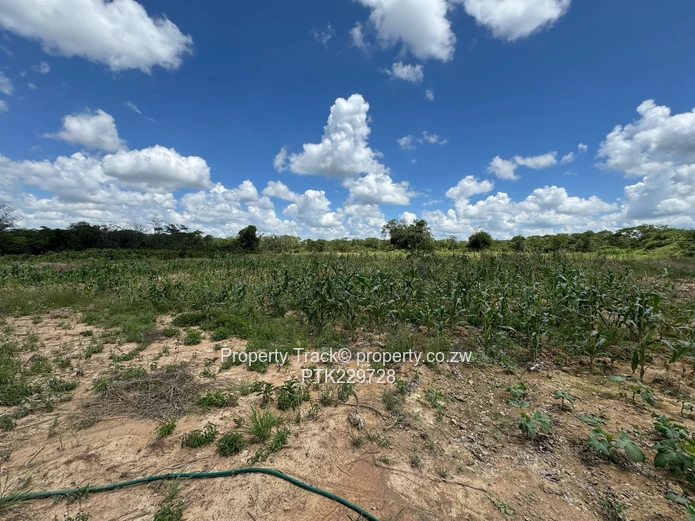 Reduced an exceptional 20-hectare agro-residential plot!! (Sole Mandate)