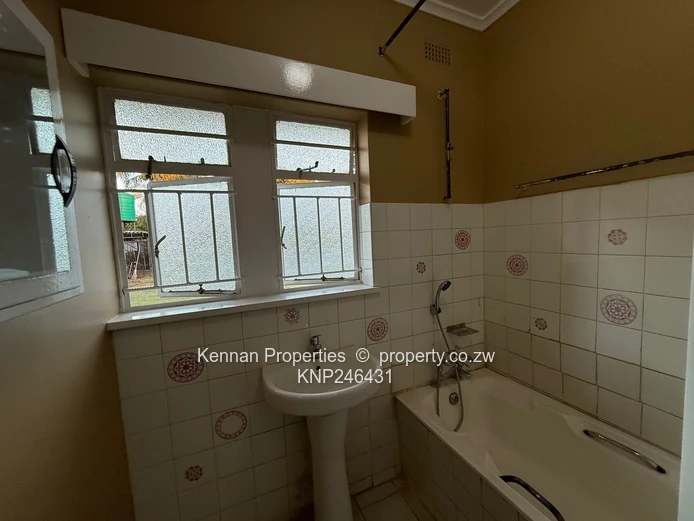 Spacious House in the Heart of New Alexandra Park