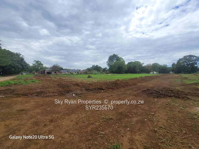 Marlborough Adlyn Stands For Sale