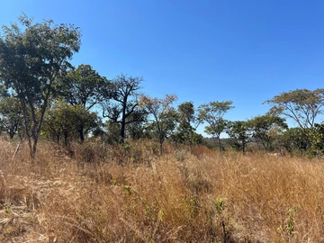 Farm & Agricultural Land