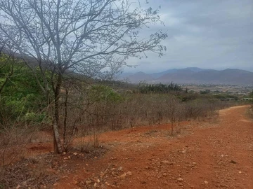 Farm & Agricultural Land