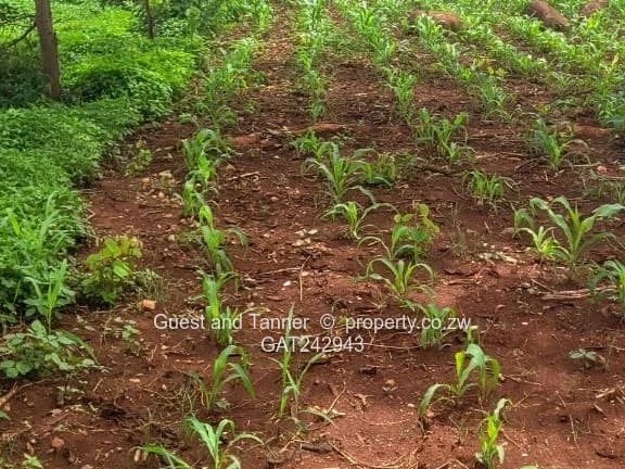 Residential Land For Sale In Crowhill Views