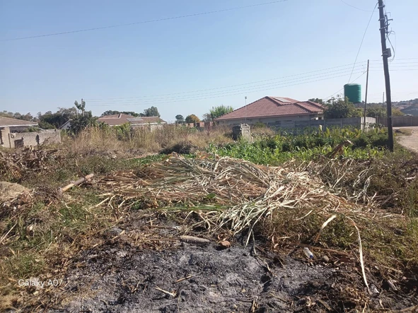 Stands & Residential Land