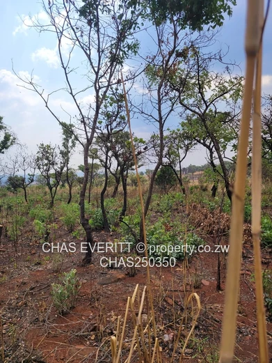 Glen Forest Land For Sale