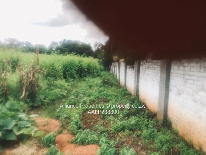 Elite Address, Infinite Potential: Prime Acre Stand in Borrowdale