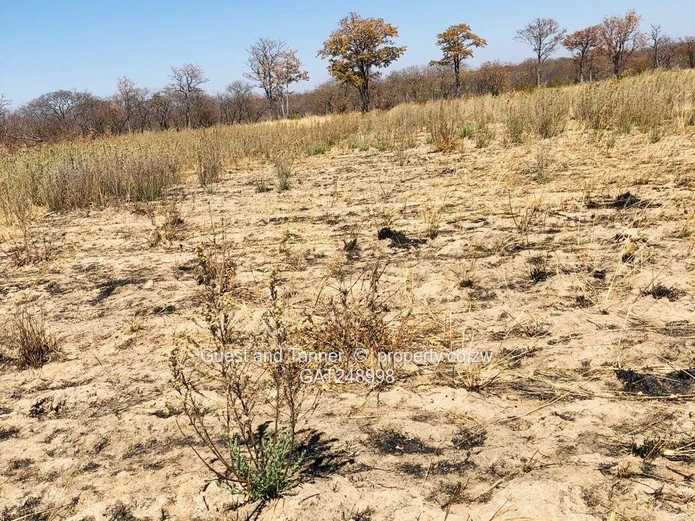 2 Prime Agricultural Plots for Sale – Ngezi Farming Area 
