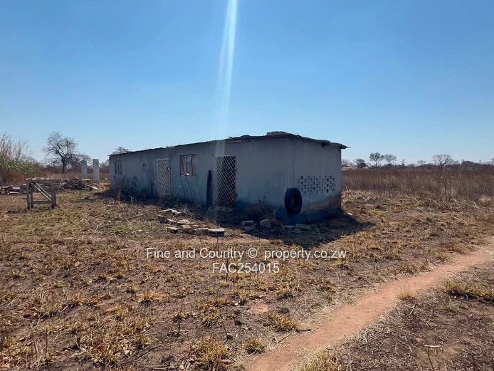 Prime Plot on the Main Road