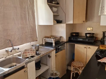 Flat & Apartment