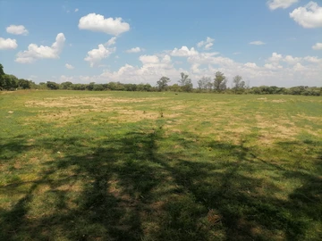 Farm & Agricultural Land