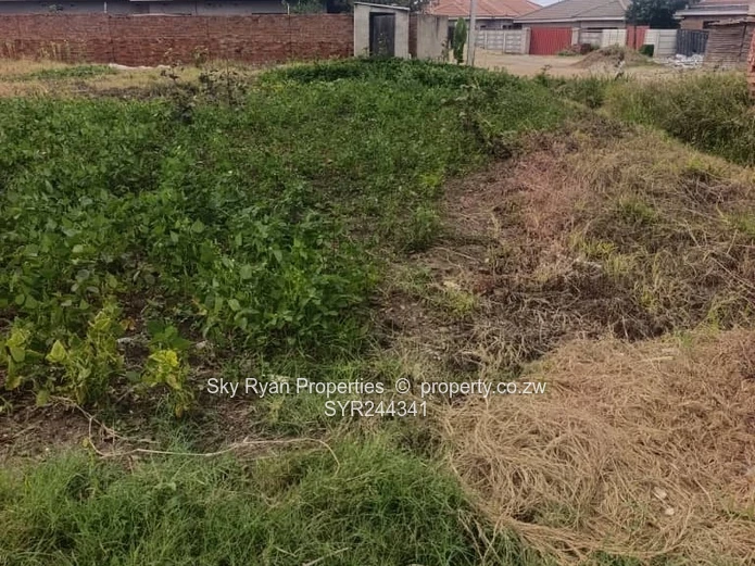 Madokero Tynwald North Stand For Sale 