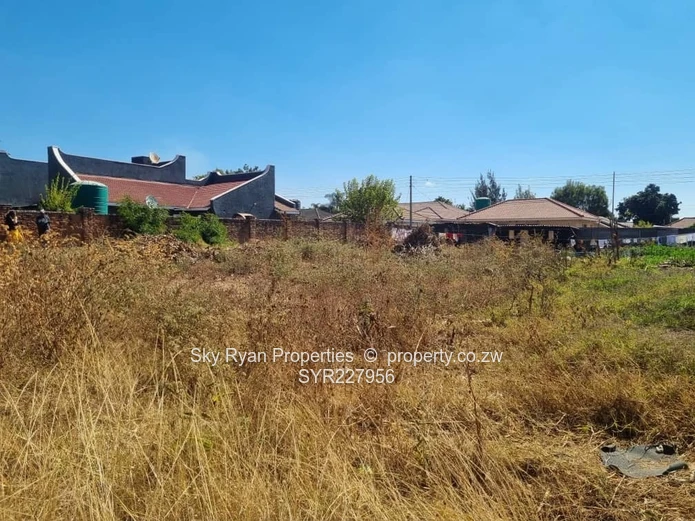Zimre Park Stand For Sale 