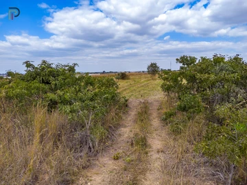 Farm & Agricultural Land