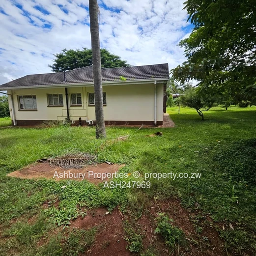 Compact Cosy Rental House Readily Available (Sole Mandate)