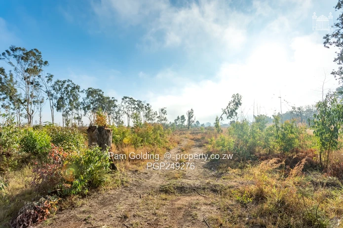 Development Oppourtunity Snake Park (Sole Mandate)