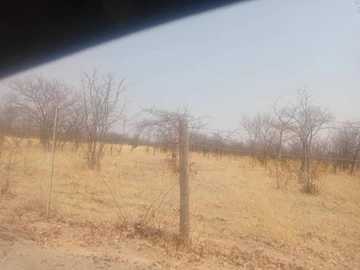 Farm & Agricultural Land