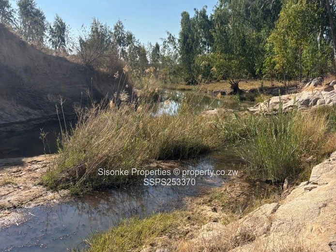 Zenda Farm — 3,025 Hectare Investment Opportunity