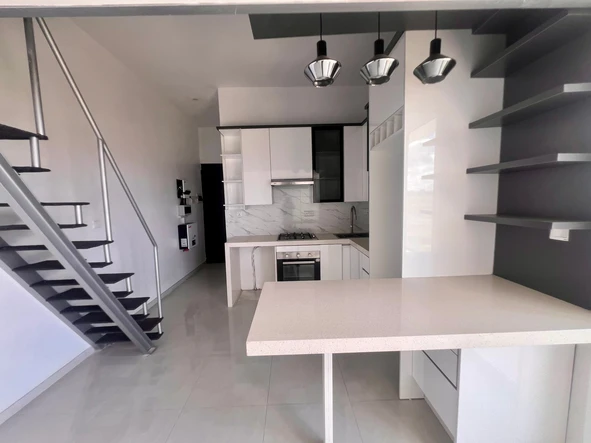 Flat & Apartment