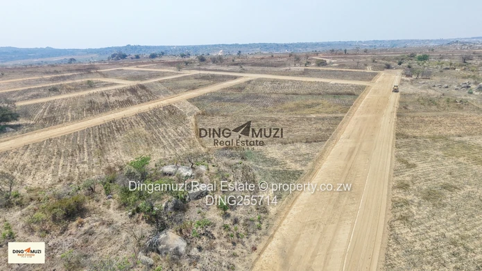 Rufaro Dams Stands 