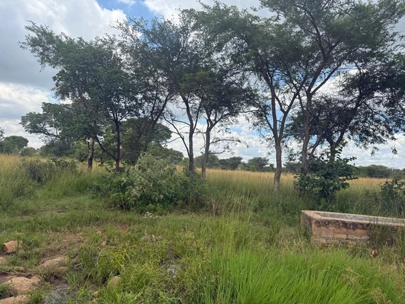 Farm & Agricultural Land