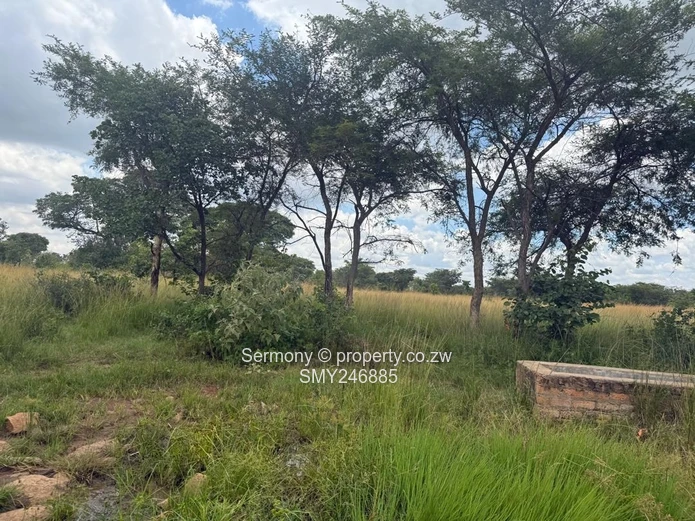Farm for rent 