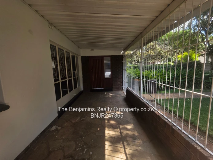 Secure Garden Flat In Avondale