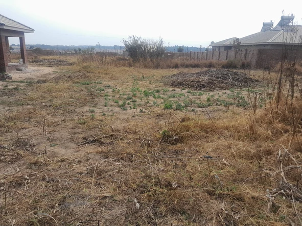 Stands & Residential Land
