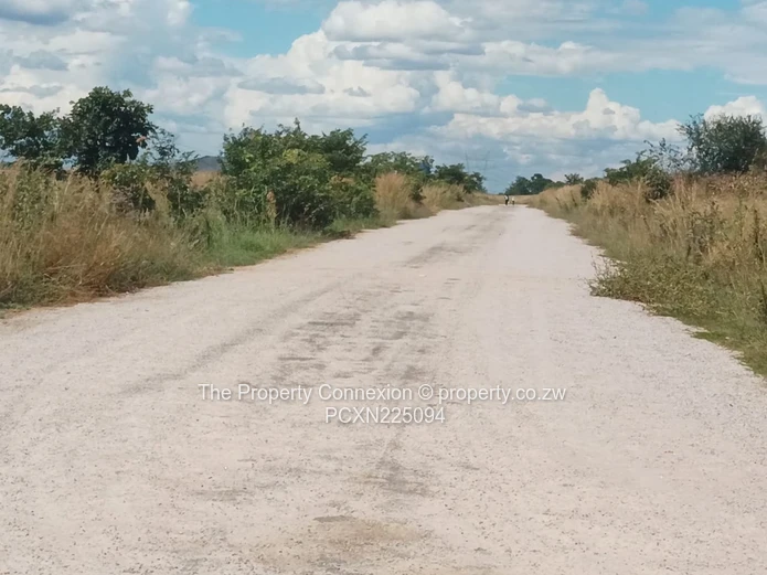 Investment opportunity alert