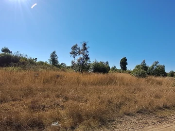 Farm & Agricultural Land