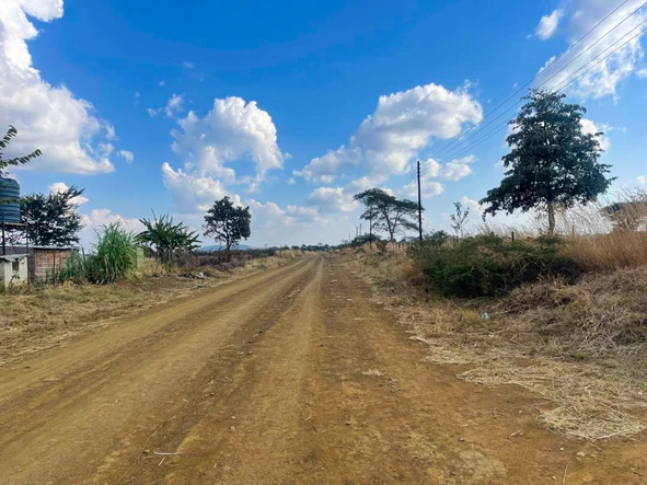 Farm & Agricultural Land